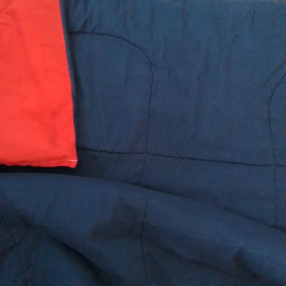 Reversible Red/Blue Twin Comfortor and Blue Bedskirt